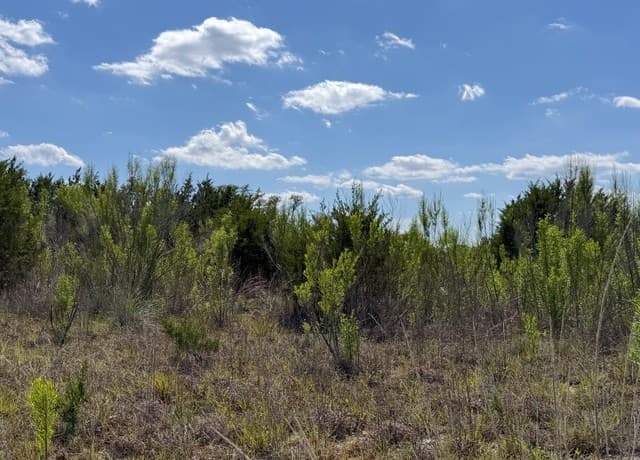 634  Mystic Pkwy, Spring Branch, TX 78070 — photo 14
