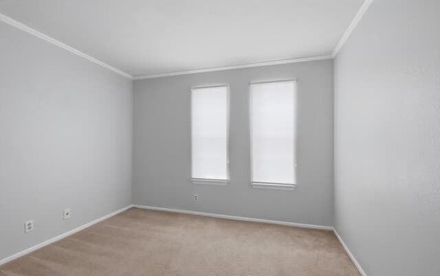 4212  Medical Dr Unit 1106, San Antonio, TX 78229 — photo 17