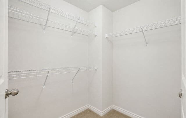 11916  Luckey Falls, San Antonio, TX 78252 — photo 15