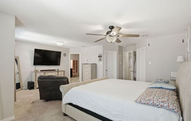 11916  Luckey Falls, San Antonio, TX 78252 — photo 17