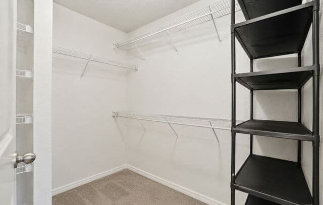 11916  Luckey Falls, San Antonio, TX 78252 — photo 20