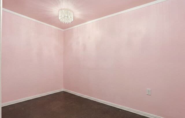 11916  Luckey Falls, San Antonio, TX 78252 — photo 6