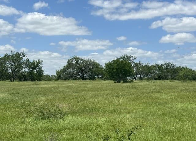 4612  County Road 117, Floresville, TX 78114 — photo 11
