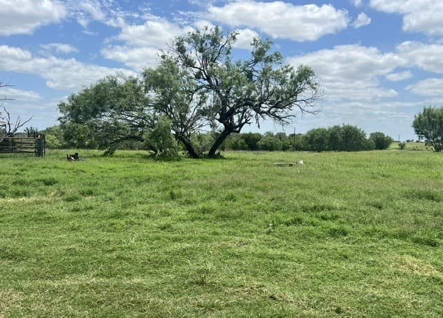 4612  County Road 117, Floresville, TX 78114 — photo 13