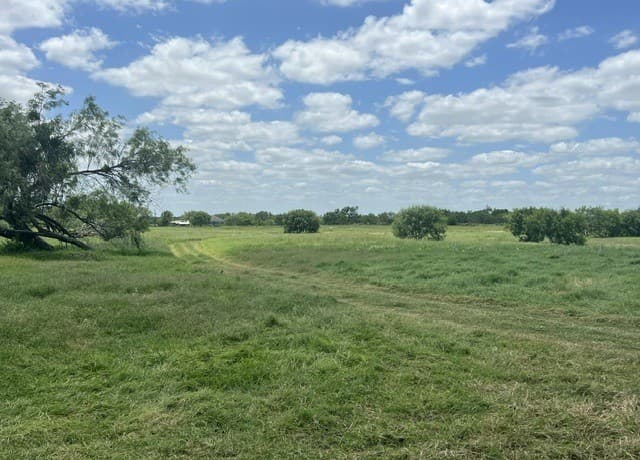 4612  County Road 117, Floresville, TX 78114 — photo 14