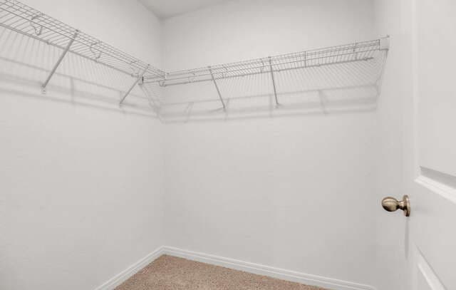 7723  Fern Holw, San Antonio, TX 78252 — photo 22