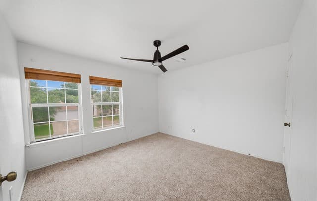 7258  Dwarf Palm, San Antonio, TX 78218 — photo 15