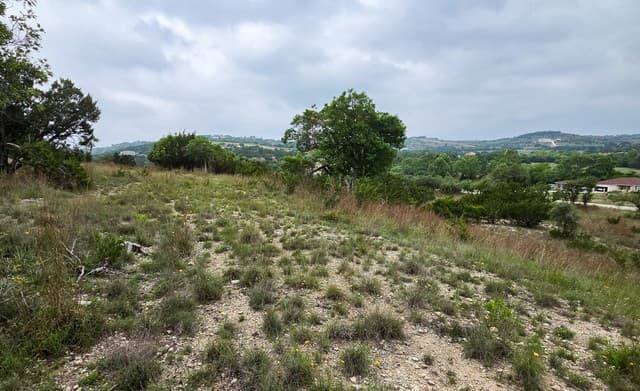 TBD  Falling Oak, Blanco, TX 78606 — photo 12