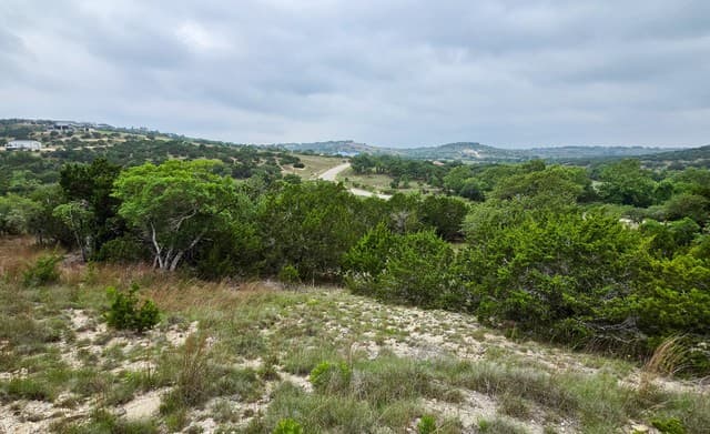 TBD  Falling Oak, Blanco, TX 78606 — photo 16