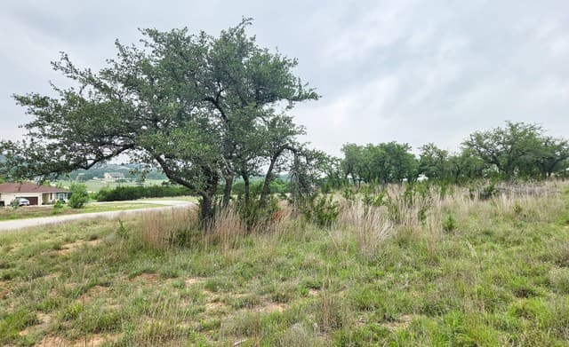 TBD  Falling Oak, Blanco, TX 78606 — photo 3