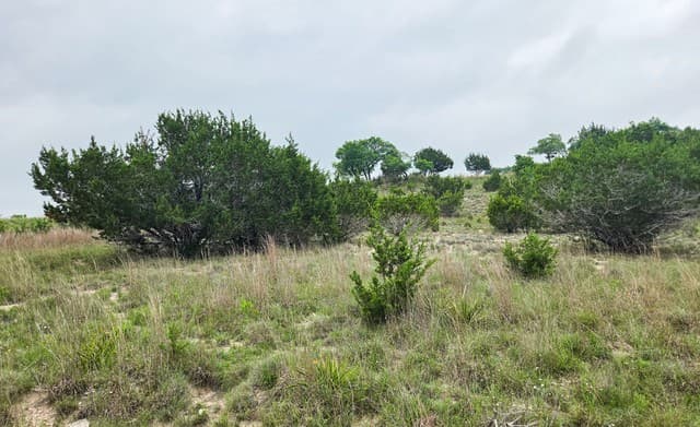 TBD  Falling Oak, Blanco, TX 78606 — photo 4