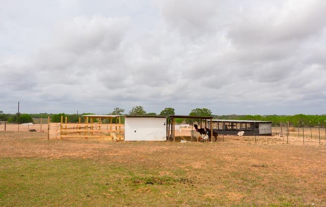 2948  Fm 1922, Floresville, TX 78114 — photo 16