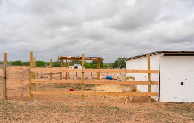 2948  Fm 1922, Floresville, TX 78114 — photo 17