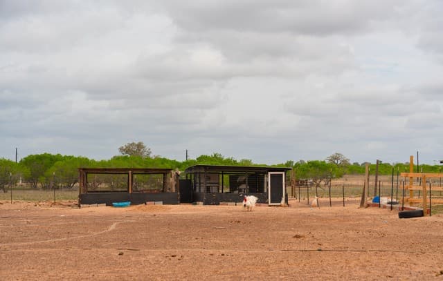 2948  Fm 1922, Floresville, TX 78114 — photo 20