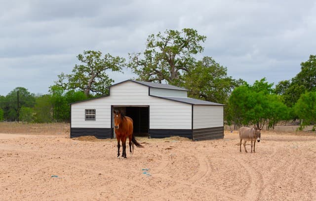 2948  Fm 1922, Floresville, TX 78114 — photo 4