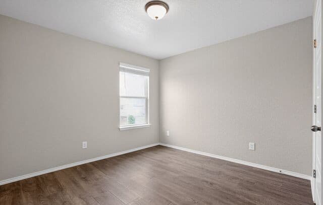 12919 Cicely Ct, St Hedwig, TX 78152 — photo 13