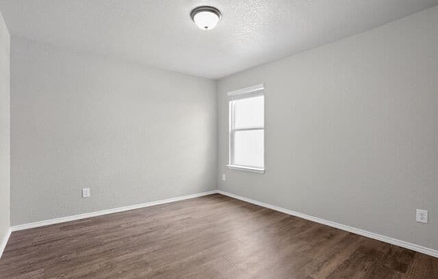 12919 Cicely Ct, St Hedwig, TX 78152 — photo 14