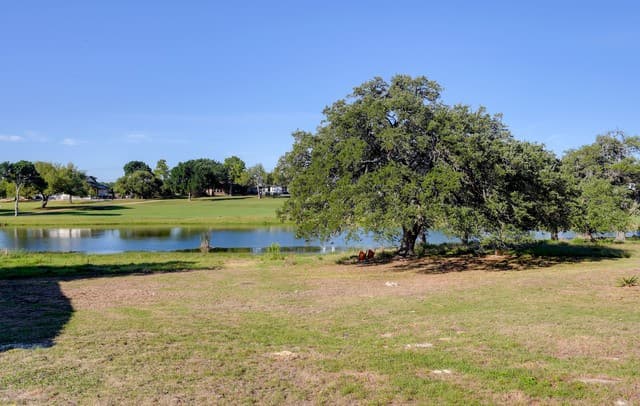 107  Savannah Ct, Blanco, TX 78606 — photo 15