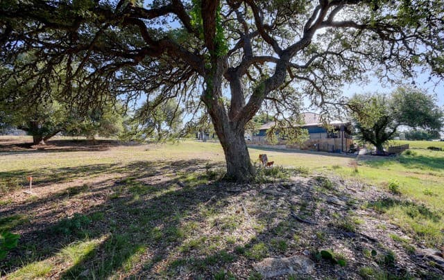 107  Savannah Ct, Blanco, TX 78606 — photo 22
