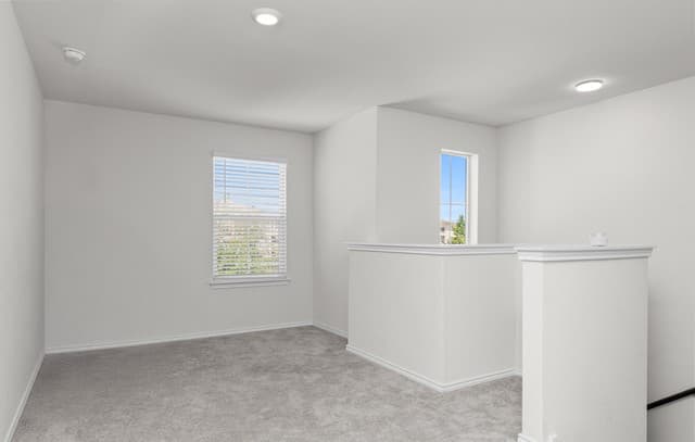 13918  Cyprus Sedge, San Antonio, TX 78254 — photo 14