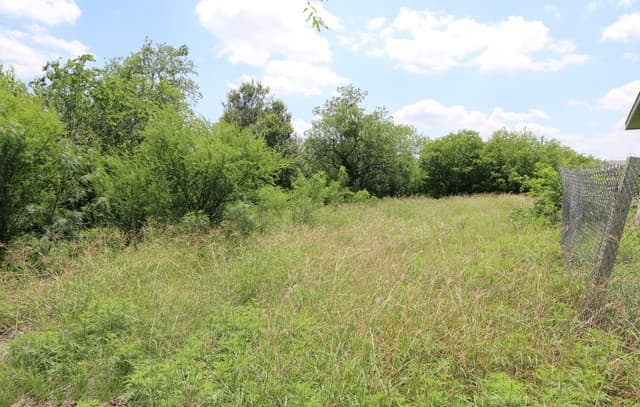 123  Surrels Ave, San Antonio, TX 78228 — photo 2