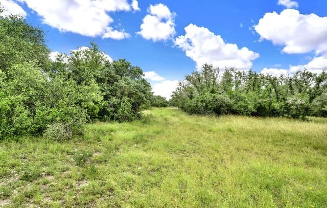 0  Fm 1796, Dhanis, TX 78850 — photo 12
