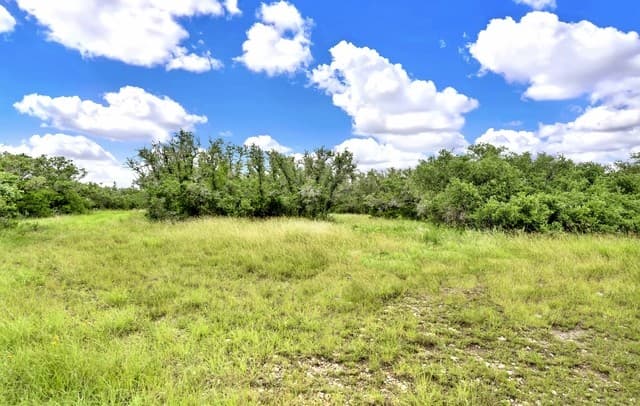 0  Fm 1796, Dhanis, TX 78850 — photo 13