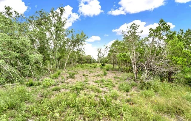 0  Fm 1796, Dhanis, TX 78850 — photo 14