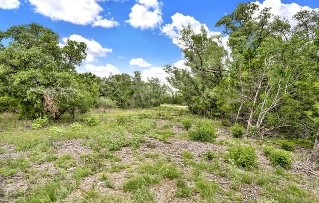 0  Fm 1796, Dhanis, TX 78850 — photo 15