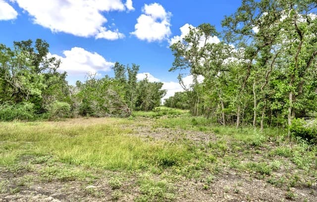 0  Fm 1796, Dhanis, TX 78850 — photo 17