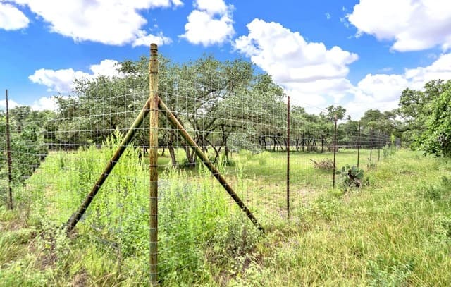 0  Fm 1796, Dhanis, TX 78850 — photo 23