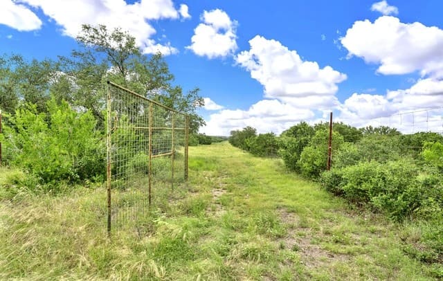 0  Fm 1796, Dhanis, TX 78850 — photo 5
