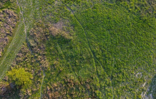 TBD  Fm 32, Blanco, TX 78606 — photo 23