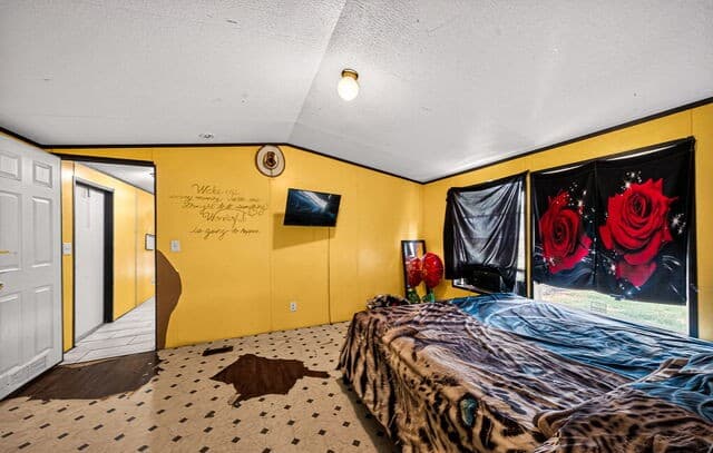 4434  Tiera, Von Ormy, TX 78073 — photo 11