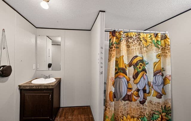 4434  Tiera, Von Ormy, TX 78073 — photo 12