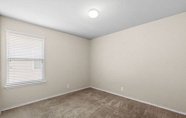14037  Shivers CV, San Antonio, TX 78254 — photo 18