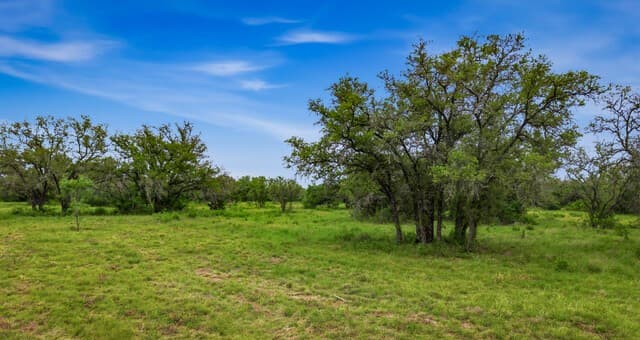 9803  Fm 1796, Dhanis, TX 78850 — photo 10