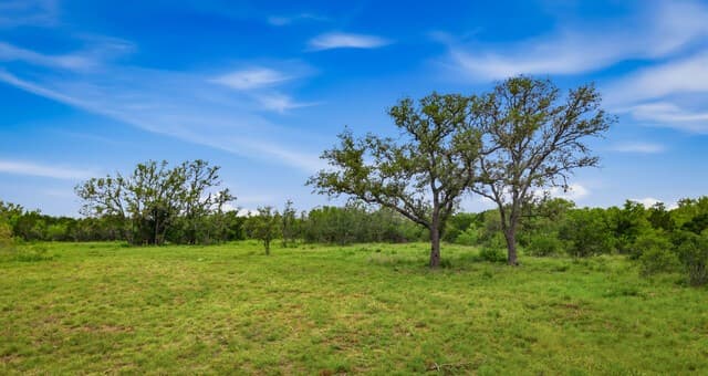 9803  Fm 1796, Dhanis, TX 78850 — photo 11