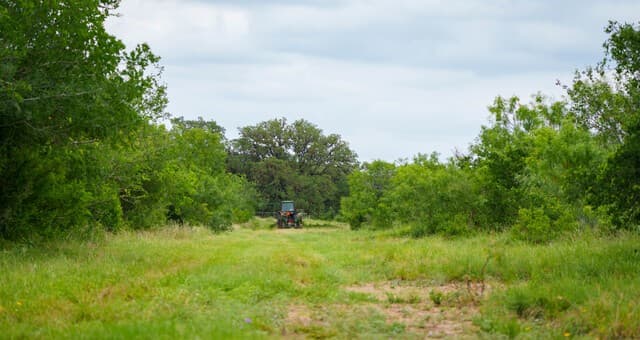 9803  Fm 1796, Dhanis, TX 78850 — photo 12