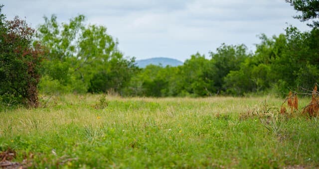 9803  Fm 1796, Dhanis, TX 78850 — photo 13