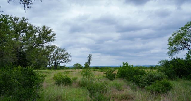 9803  Fm 1796, Dhanis, TX 78850 — photo 14
