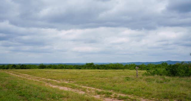 9803  Fm 1796, Dhanis, TX 78850 — photo 15