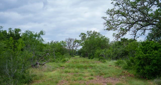 9803  Fm 1796, Dhanis, TX 78850 — photo 17