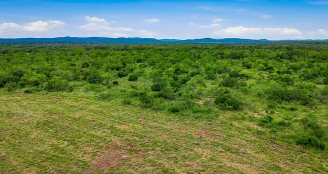 9803  Fm 1796, Dhanis, TX 78850 — photo 2