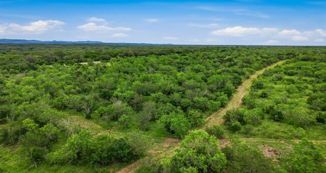 9803  Fm 1796, Dhanis, TX 78850 — photo 21