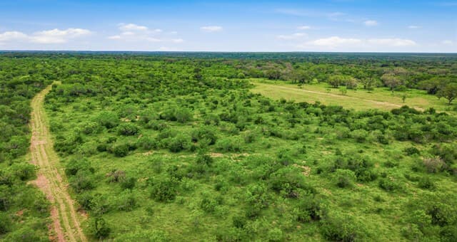 9803  Fm 1796, Dhanis, TX 78850 — photo 23