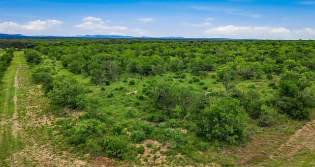 9803  Fm 1796, Dhanis, TX 78850 — photo 3