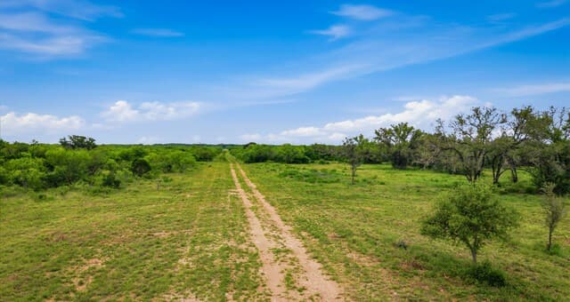 9803  Fm 1796, Dhanis, TX 78850 — photo 4