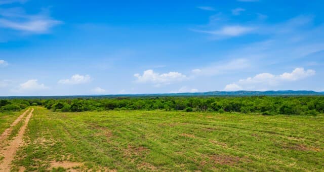 9803  Fm 1796, Dhanis, TX 78850 — photo 5