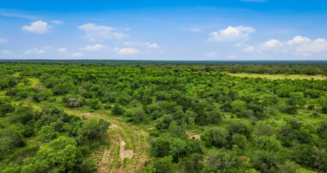 9803  Fm 1796, Dhanis, TX 78850 — photo 6